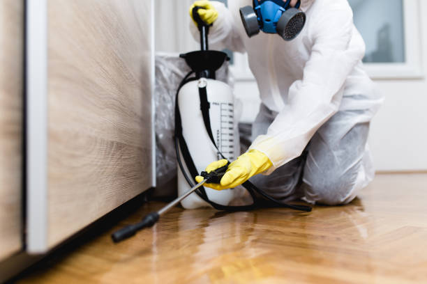 Best Pest Control Near Me in Kansas City, KS