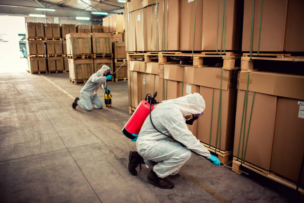 Best Pest Inspection Near Me  in Kansas City, KS