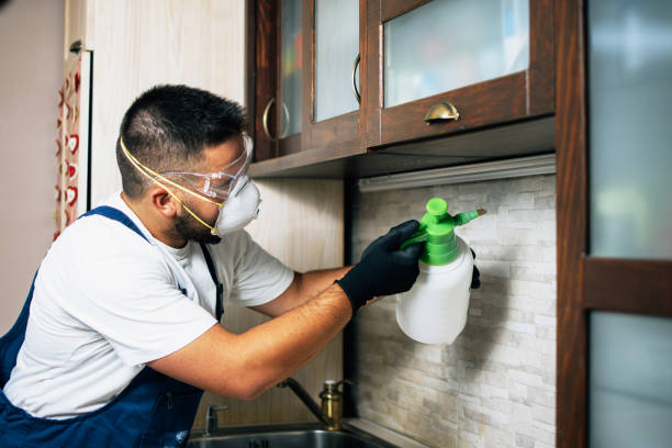 Best Local Pest Control Services  in Kansas City, KS