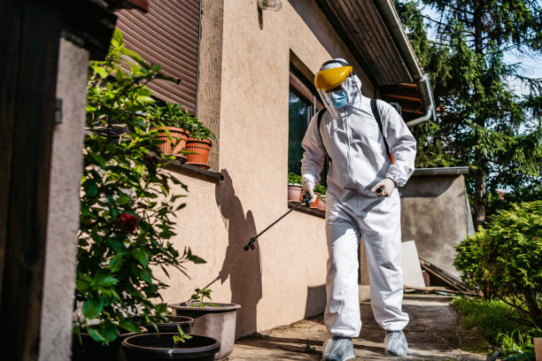 Best Pest Control Near Me  in Kansas City, KS
