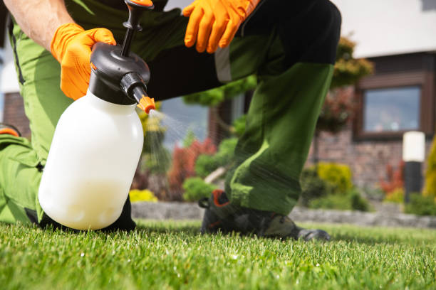 Wildlife Control Services in Kansas City, KS
