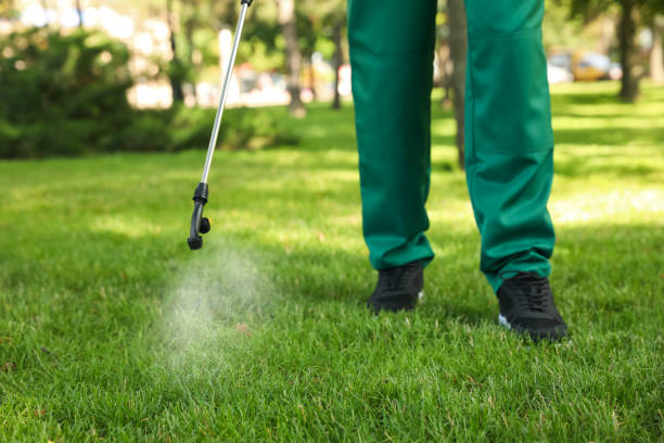Best Affordable Pest Control Services  in Kansas City, KS