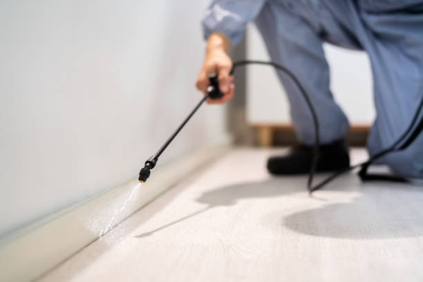Pest Control Cost in Kansas City, KS