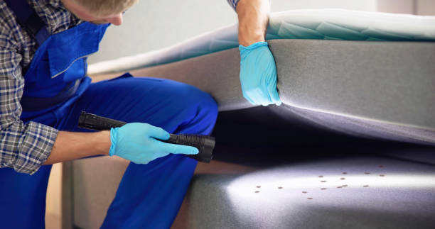 Best Emergency Pest Control  in Kansas City, KS