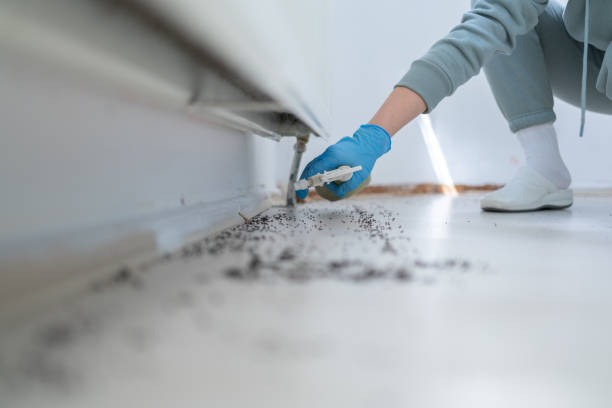 Best Pest Control Treatment  in Kansas City, KS